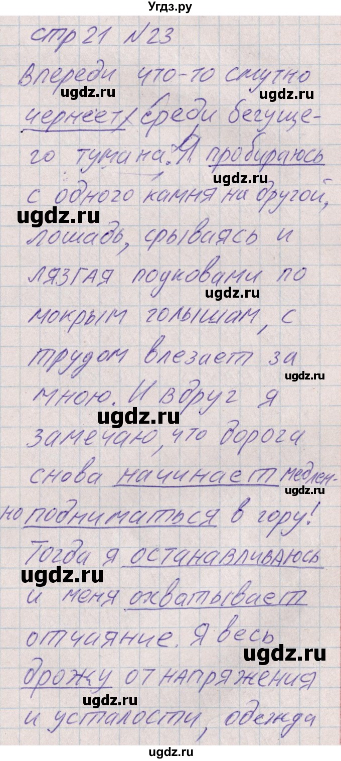 ГДЗ (Решебник) по русскому языку 8 класс (рабочая тетрадь ) Богданова Г.А. / часть 1 / упражнение / 23