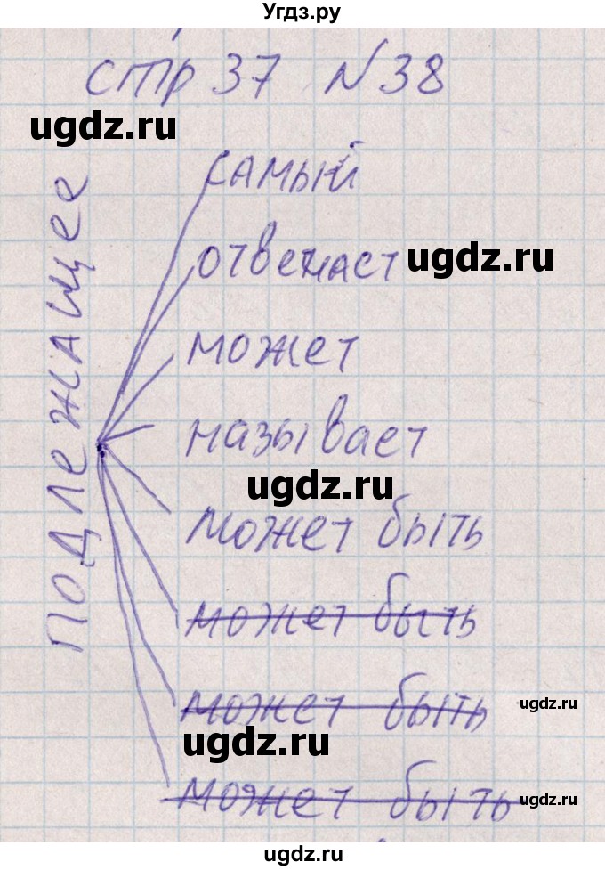 ГДЗ (Решебник) по русскому языку 8 класс (рабочая тетрадь ) Богданова Г.А. / часть 1 / упражнение / 38