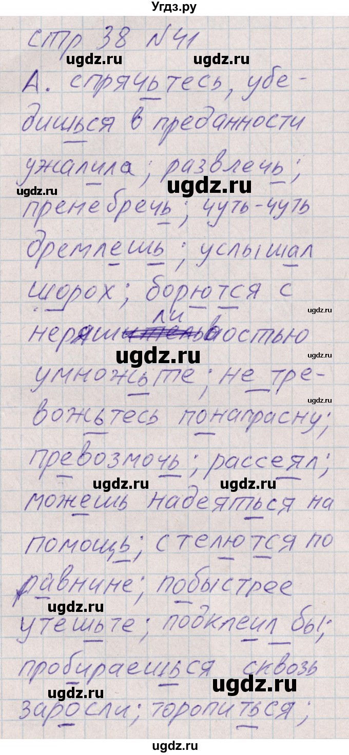 ГДЗ (Решебник) по русскому языку 8 класс (рабочая тетрадь ) Богданова Г.А. / часть 1 / упражнение / 41