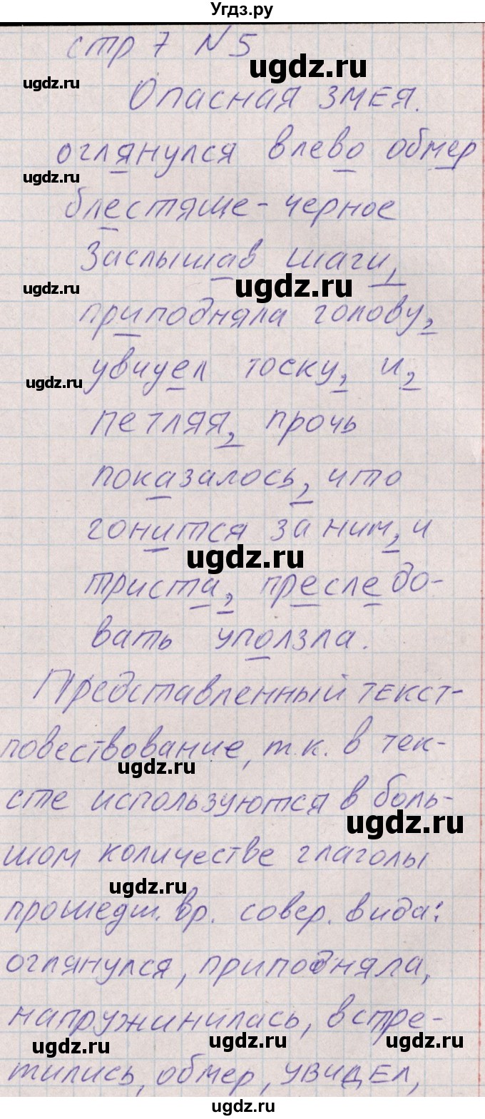 ГДЗ (Решебник) по русскому языку 8 класс (рабочая тетрадь ) Богданова Г.А. / часть 1 / упражнение / 5