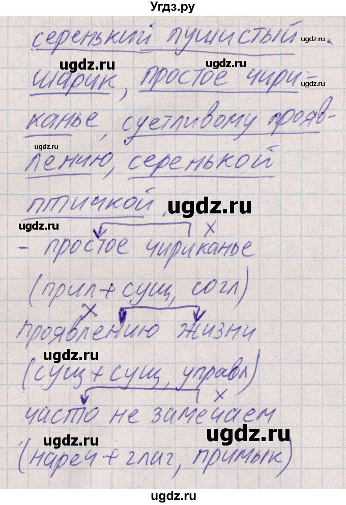 ГДЗ (Решебник) по русскому языку 8 класс (рабочая тетрадь ) Богданова Г.А. / часть 1 / проверочные работы / работа №1 / Вариант 2(продолжение 3)