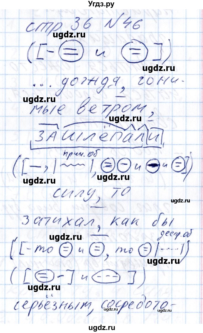 ГДЗ (Решебник) по русскому языку 8 класс (рабочая тетрадь ) Богданова Г.А. / часть 2 / упражнение / 46