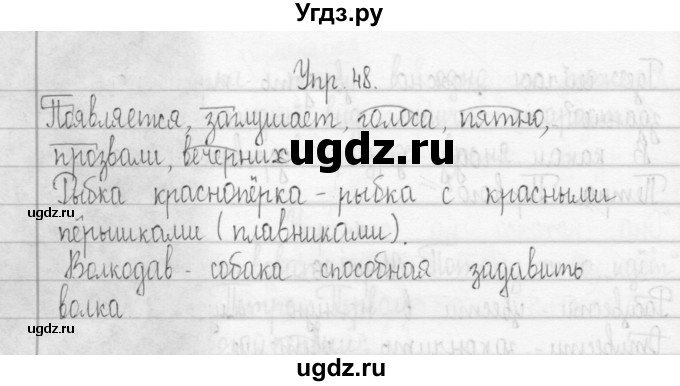 ГДЗ (Решебник) по русскому языку 3 класс (Тетрадь для упражнений (рабочая тетрадь)) Рамзаева Т.Г. / упражнение / 48