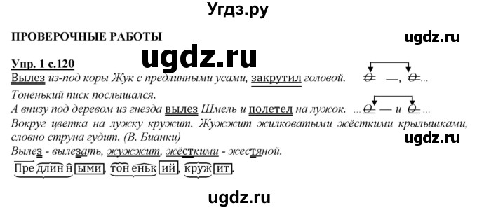 ГДЗ (Решебник) по русскому языку 4 класс Желтовская Л.Я. / часть 1 / проверочные работы, страница 120 номер / 1