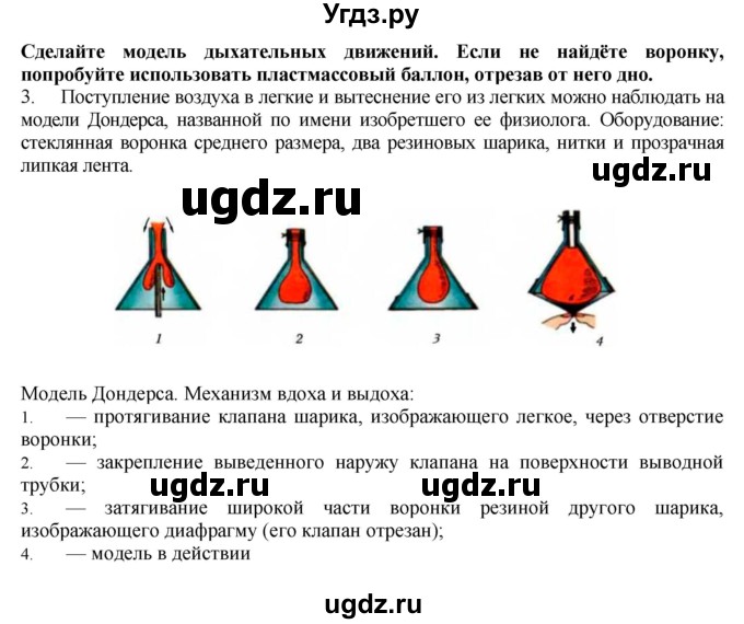 ГДЗ (Решебник) по биологии 9 класс А.Г. Драгомилов / § 25 / 3