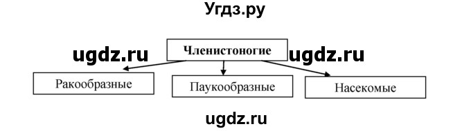 ГДЗ (Решебник) по биологии 5 класс (рабочая тетрадь) В.В. Пасечник / урок 27 / 3(продолжение 2)