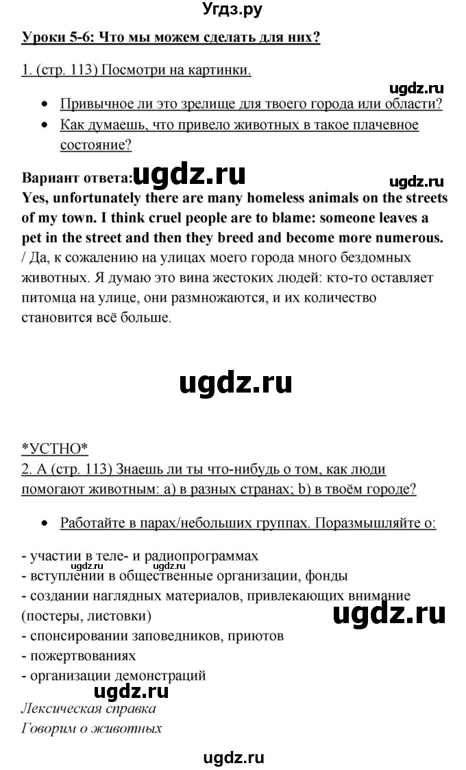 ГДЗ (Решебник) по английскому языку 10 класс (New Millenium) Гроза О.Л. / страница номер / 113