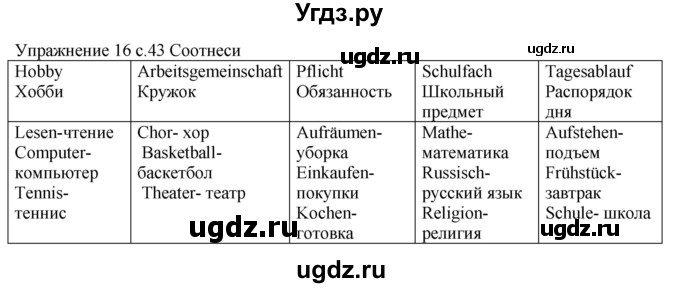 ГДЗ (Решебник к тетради Wunderkinder Plus) по немецкому языку 6 класс (wunderkinder рабочая тетрадь) Радченко О.А. / страница / 43