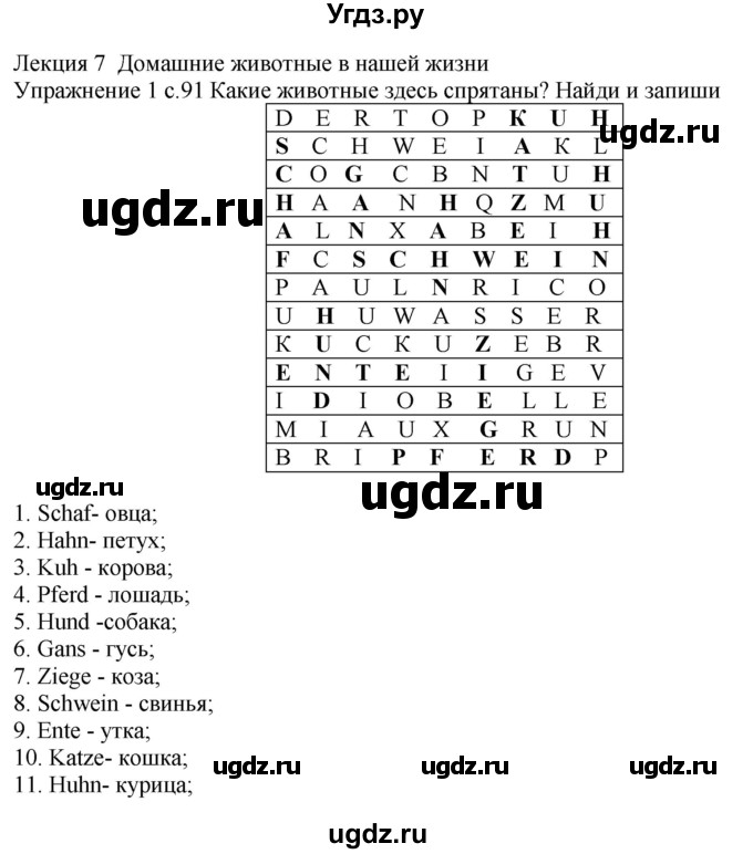 ГДЗ (Решебник к тетради Wunderkinder Plus) по немецкому языку 6 класс (wunderkinder рабочая тетрадь) Радченко О.А. / страница / 91