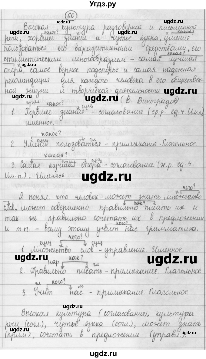 ГДЗ (Решебник к учебнику 2015) по русскому языку 8 класс Рыбченкова Л.М. / упражнение / 60