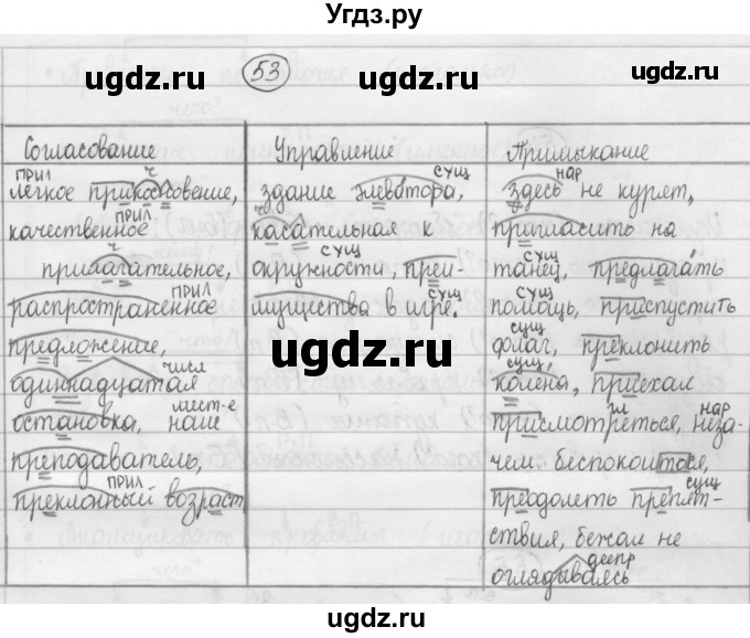 ГДЗ (Решебник 2015) по русскому языку 8 класс Рыбченкова Л.М. / упражнение / 53