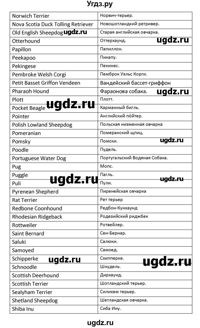 ГДЗ (Решебник) по английскому языку 8 класс (рабочая тетрадь новый курс (4-ый год обучения)) Афанасьева О.В. / часть 1. страница-№ / 88(продолжение 19)