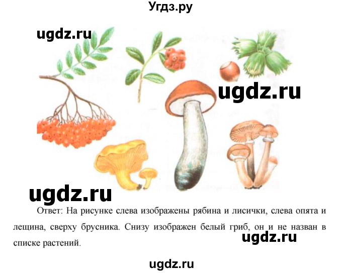 ГДЗ (Решебник) по окружающему миру 1 класс Н.Ф. Виноградова / часть 1. страница номер / 21(продолжение 2)