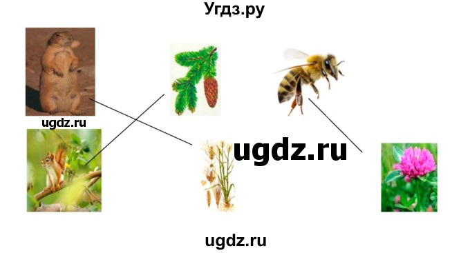 ГДЗ (Решебник) по окружающему миру 3 класс (рабочая тетрадь) Виноградова Н.Ф. / часть 1. страница номер / 37(продолжение 2)