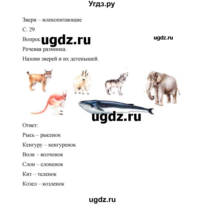 ГДЗ (Решебник) по окружающему миру 1 класс (рабочая тетрадь) Виноградова Н.Ф. / страница номер / 29
