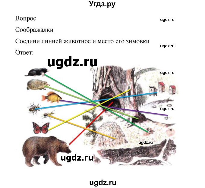 ГДЗ (Решебник) по окружающему миру 1 класс (рабочая тетрадь) Виноградова Н.Ф. / страница номер / 29(продолжение 2)