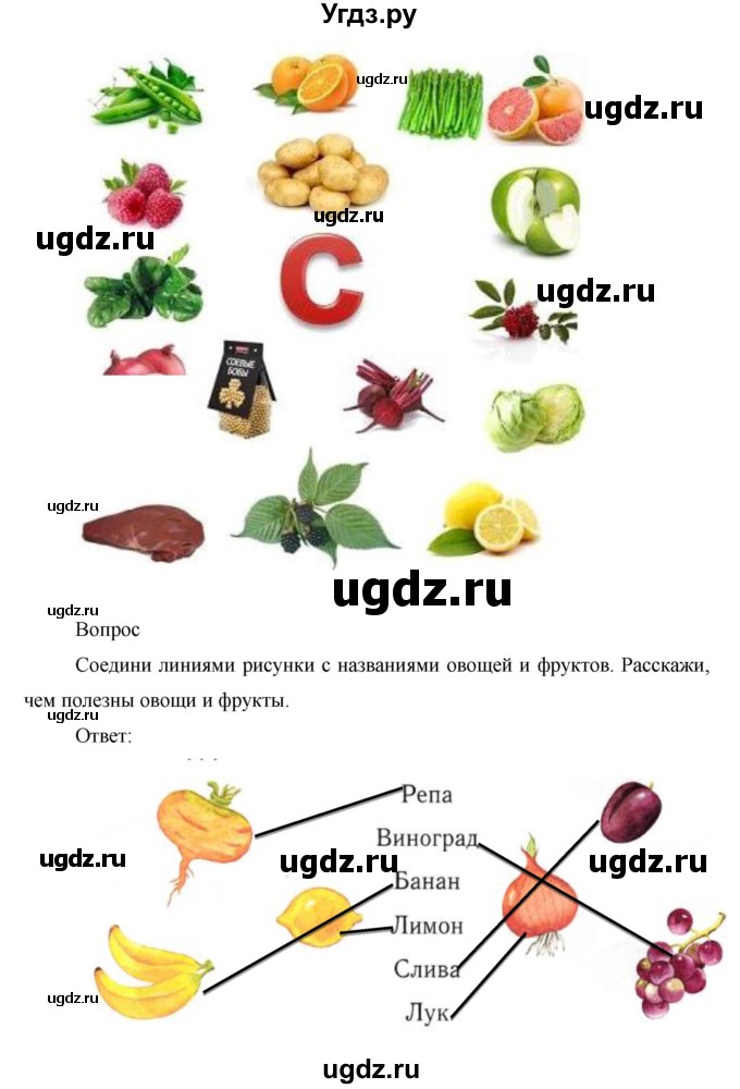 ГДЗ (Решебник) по окружающему миру 1 класс (рабочая тетрадь) Виноградова Н.Ф. / страница номер / 68(продолжение 2)