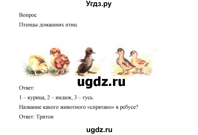 ГДЗ (Решебник) по окружающему миру 1 класс (рабочая тетрадь) Виноградова Н.Ф. / страница номер / 90(продолжение 2)