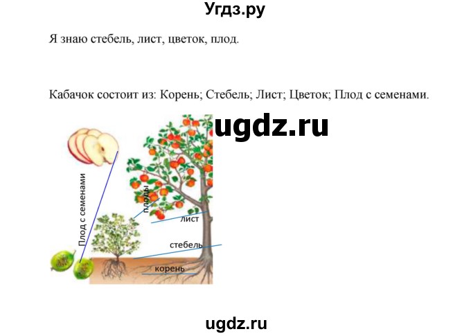 ГДЗ (Решебник №1 к учебнику 2023) по окружающему миру 1 класс Плешаков А.А. / часть 1 (страница) / 22-23