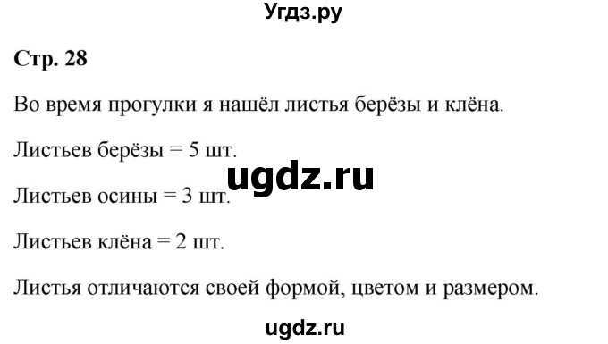 ГДЗ (Решебник 2023) по окружающему миру 1 класс Плешаков А.А. / часть 1. страница / 28