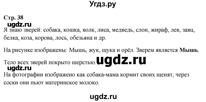 ГДЗ (Решебник 2023) по окружающему миру 1 класс Плешаков А.А. / часть 1. страница / 38