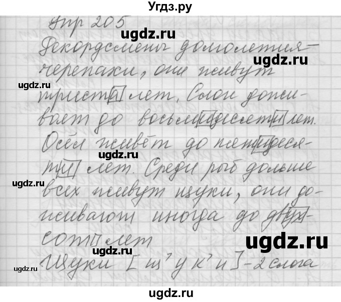 ГДЗ (Решебник) по русскому языку 6 класс Бунеев Р.Н. / упражнение номер / 205