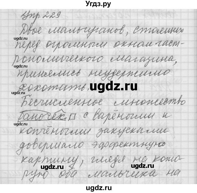 ГДЗ (Решебник) по русскому языку 6 класс Бунеев Р.Н. / упражнение номер / 229