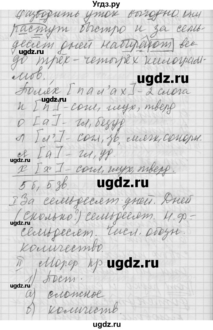 ГДЗ (Решебник) по русскому языку 6 класс Бунеев Р.Н. / упражнение номер / 238(продолжение 2)
