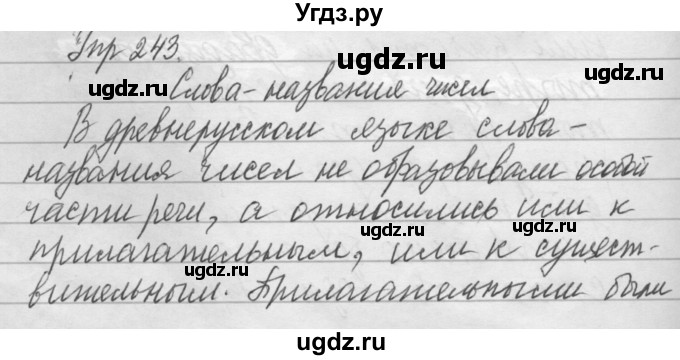 ГДЗ (Решебник) по русскому языку 6 класс Бунеев Р.Н. / упражнение номер / 243