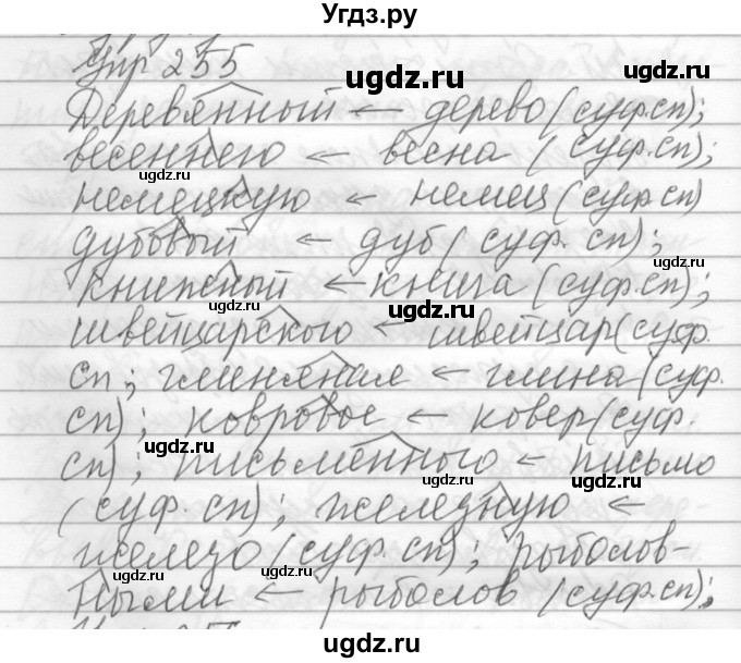 ГДЗ (Решебник) по русскому языку 6 класс Бунеев Р.Н. / упражнение номер / 255