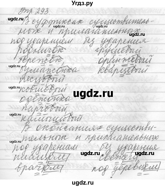 ГДЗ (Решебник) по русскому языку 6 класс Бунеев Р.Н. / упражнение номер / 293