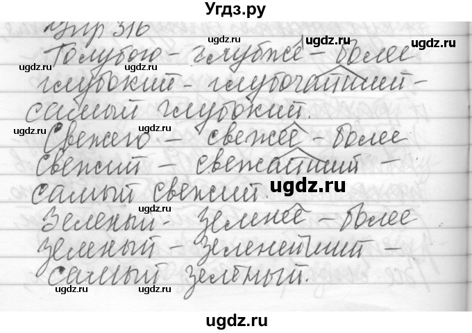 ГДЗ (Решебник) по русскому языку 6 класс Бунеев Р.Н. / упражнение номер / 316