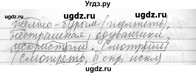 ГДЗ (Решебник) по русскому языку 6 класс Бунеев Р.Н. / упражнение номер / 334(продолжение 2)
