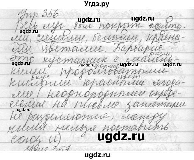 ГДЗ (Решебник) по русскому языку 6 класс Бунеев Р.Н. / упражнение номер / 356