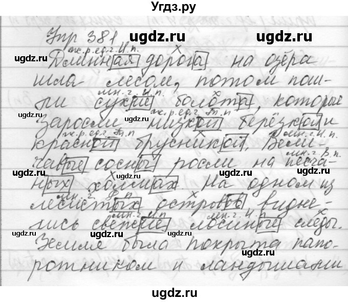 ГДЗ (Решебник) по русскому языку 6 класс Бунеев Р.Н. / упражнение номер / 381