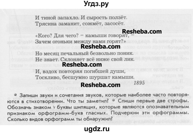 ГДЗ (Учебник) по русскому языку 6 класс Бунеев Р.Н. / упражнение номер / 12(продолжение 2)