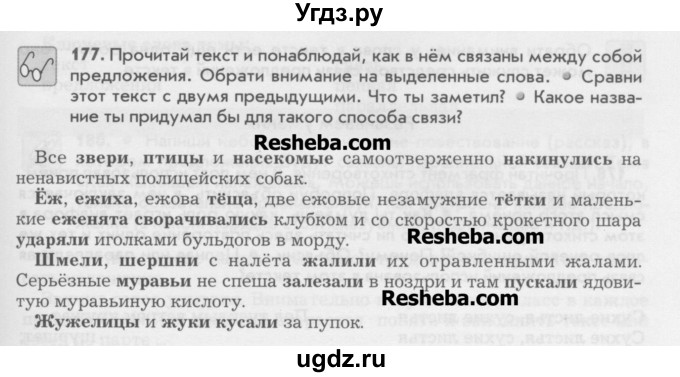 ГДЗ (Учебник) по русскому языку 6 класс Бунеев Р.Н. / упражнение номер / 177