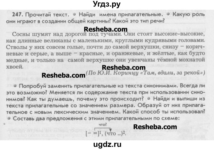 ГДЗ (Учебник) по русскому языку 6 класс Бунеев Р.Н. / упражнение номер / 247