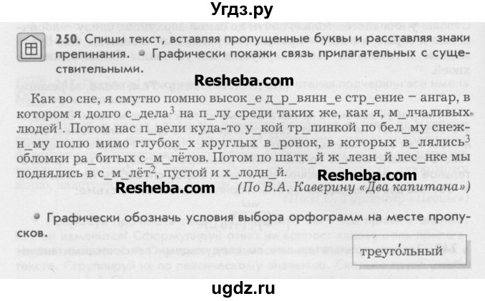 ГДЗ (Учебник) по русскому языку 6 класс Бунеев Р.Н. / упражнение номер / 250