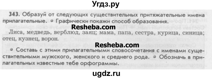 ГДЗ (Учебник) по русскому языку 6 класс Бунеев Р.Н. / упражнение номер / 343