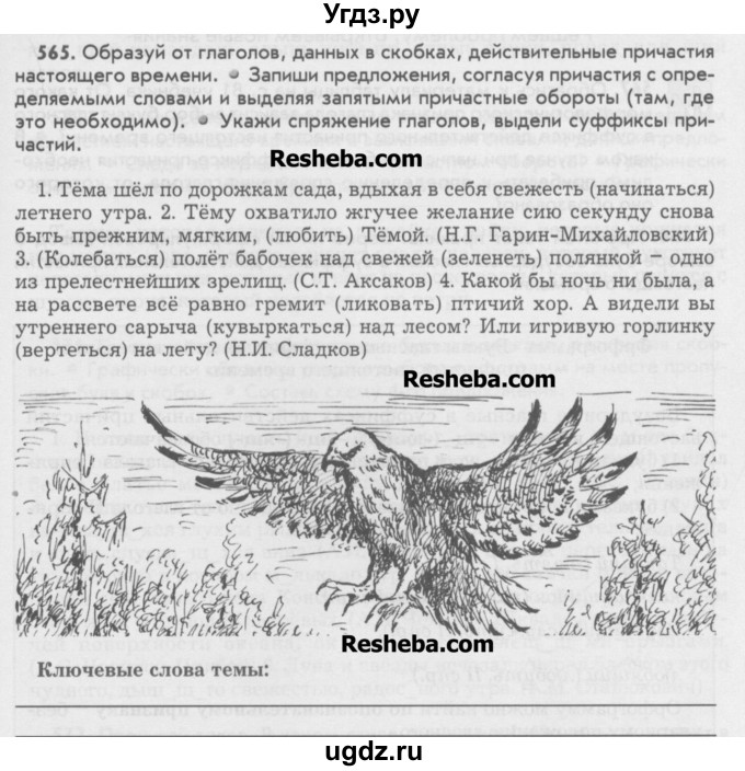 ГДЗ (Учебник) по русскому языку 6 класс Бунеев Р.Н. / упражнение номер / 565