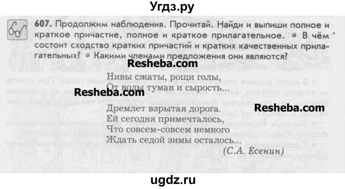 ГДЗ (Учебник) по русскому языку 6 класс Бунеев Р.Н. / упражнение номер / 607