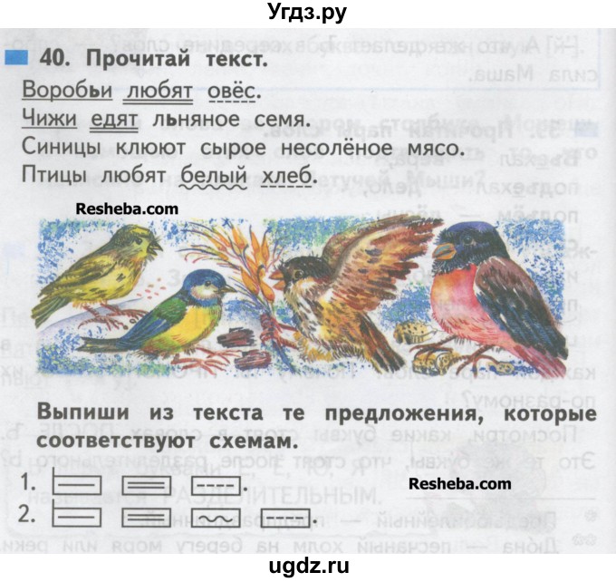 ГДЗ (Учебеник) по русскому языку 1 класс Чуракова Н.А. / упражнение / 40