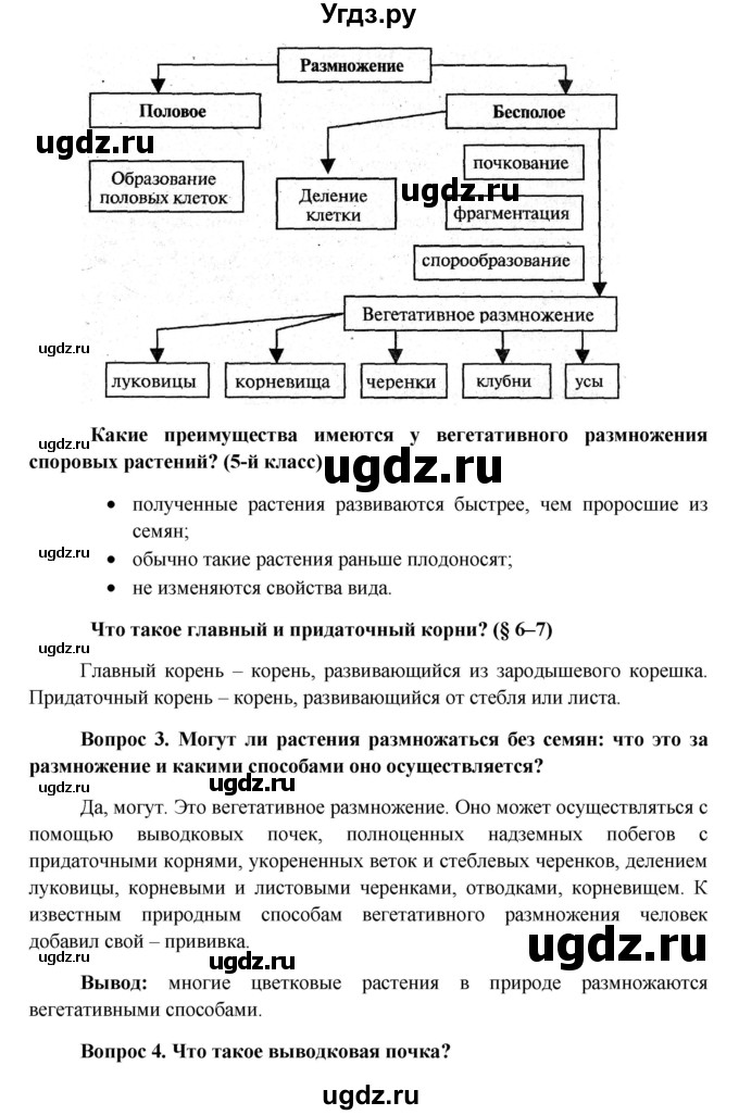 ГДЗ (Решебник) по биологии 6 класс (Школа 2100) Ловягин С.Н. / § / § 13(продолжение 2)