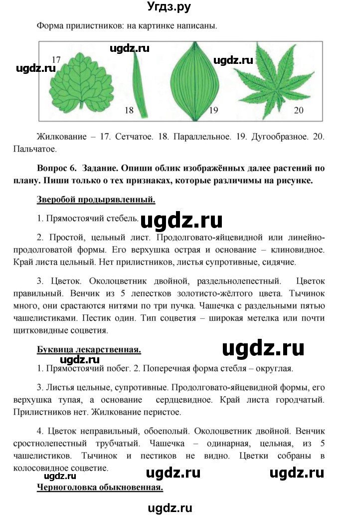 ГДЗ (Решебник) по биологии 6 класс (Школа 2100) Ловягин С.Н. / § / § 16(продолжение 5)