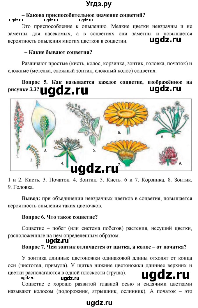 ГДЗ (Решебник) по биологии 6 класс (Школа 2100) Ловягин С.Н. / § / § 3(продолжение 2)