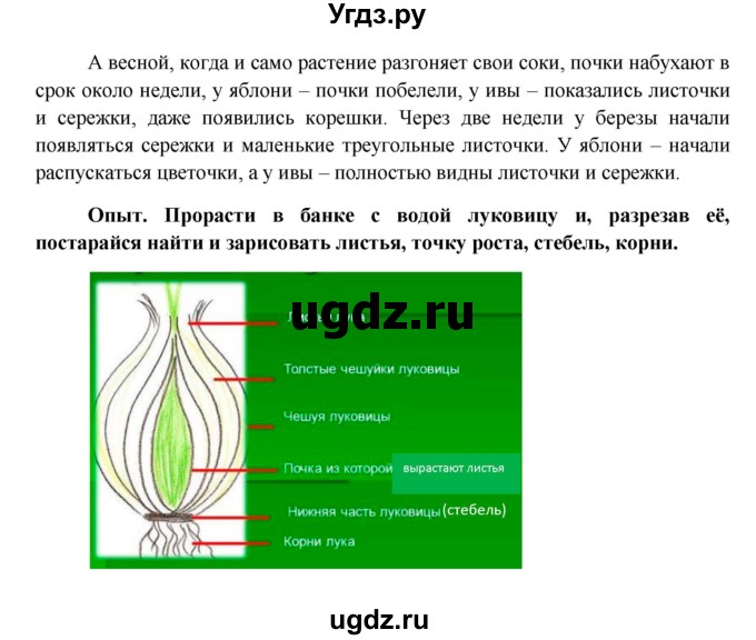 ГДЗ (Решебник) по биологии 6 класс (Школа 2100) Ловягин С.Н. / § / § 8–9(продолжение 5)