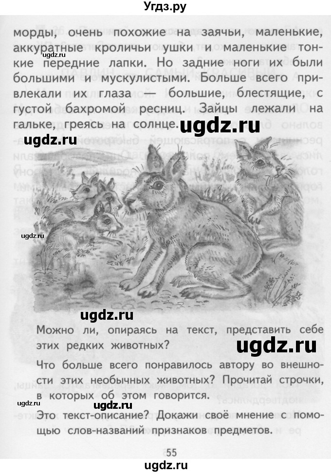 ГДЗ (Учебник) по русскому языку 3 класс Каленчук М.Л. / часть 2. страница / 54-55(продолжение 2)