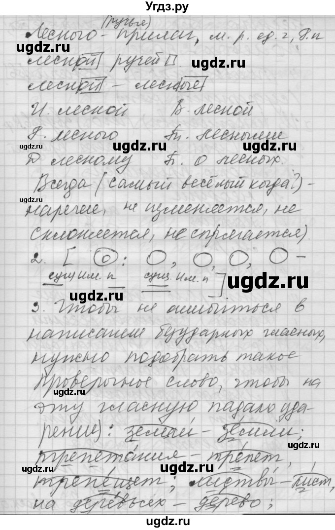 ГДЗ (Решебник №2 к учебнику 2014) по русскому языку 6 класс Быстрова Е.А. / часть 1 / упражнение / 207(продолжение 2)