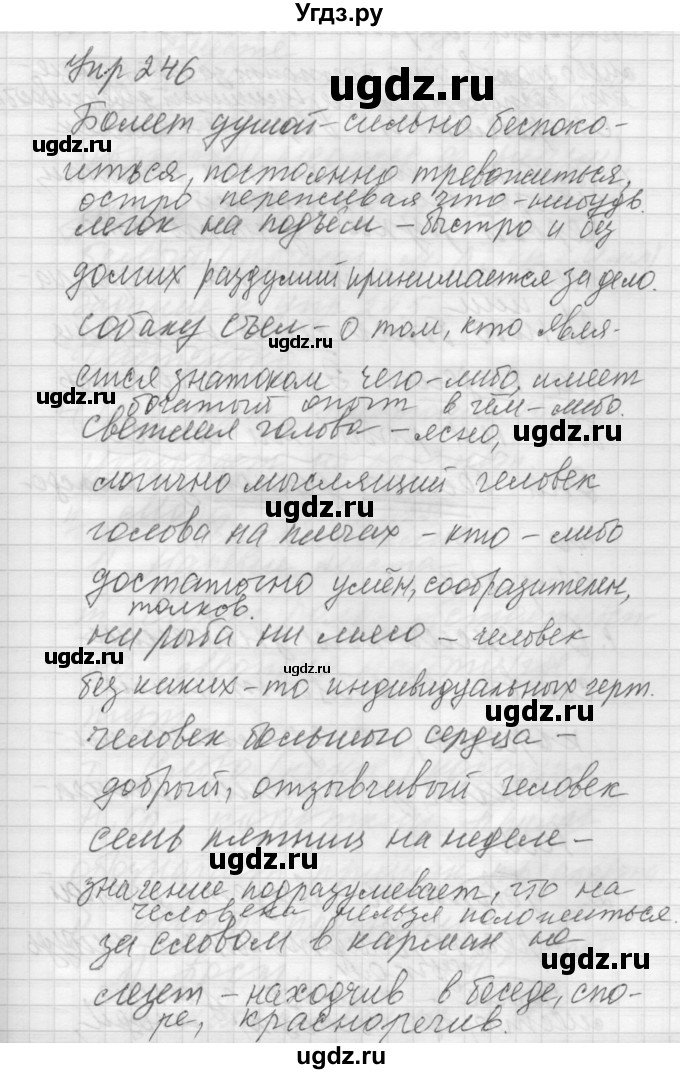 ГДЗ (Решебник №2 к учебнику 2014) по русскому языку 6 класс Быстрова Е.А. / часть 2 / упражнение / 246